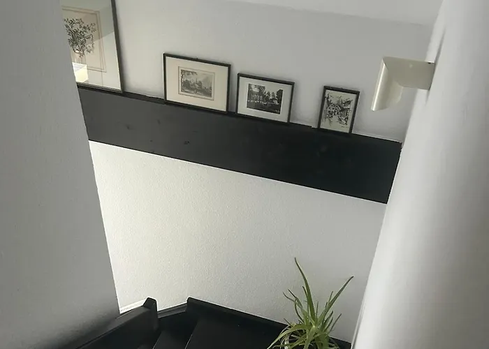 Gemuetlichkeit Im Gruenen